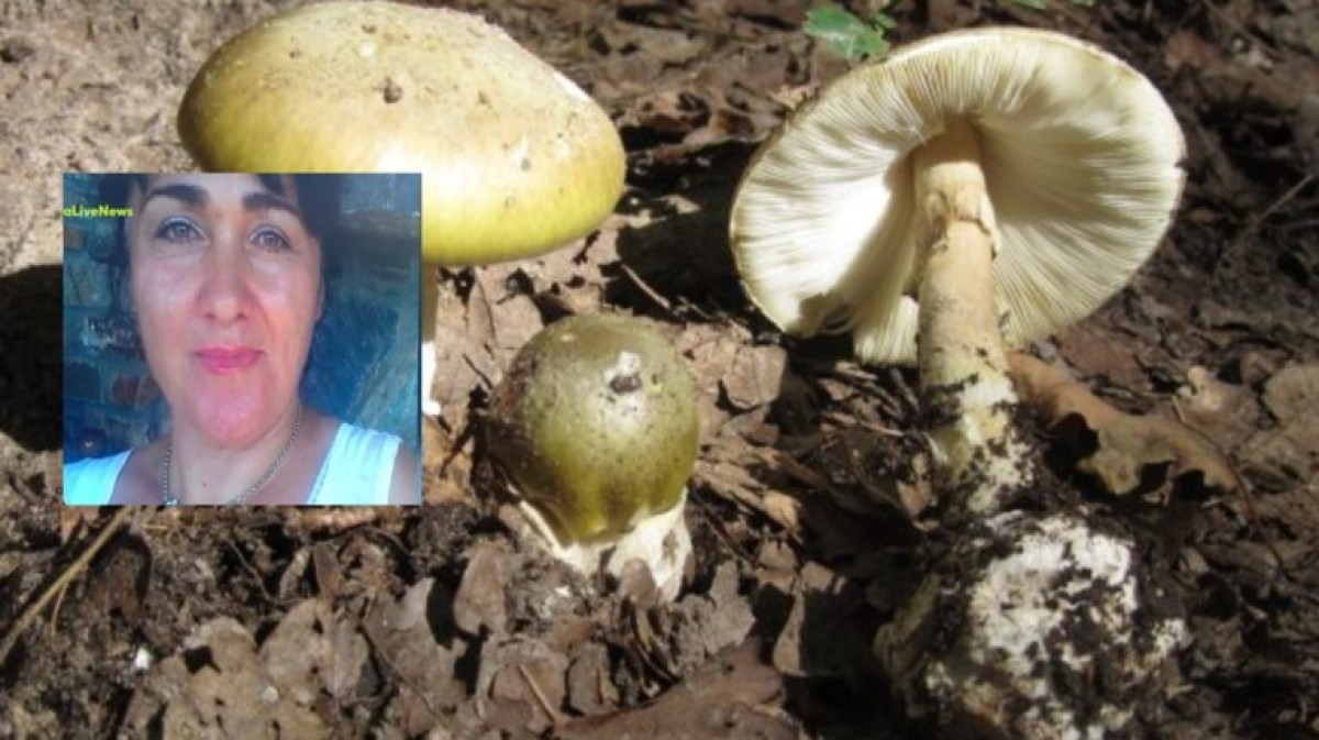 Σε κρίσιμη κατάσταση εξακολουθεί να νοσηλεύεται το ζευγάρι από τον Νέο Άγιο Αθανάσιο Πέλλας, το οποίο κατανάλωσε άγρια μανιτάρια που