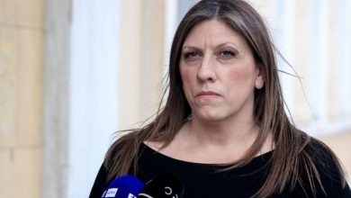 Η Ζωή Κωνσταντοπούλου καταδίκασε με σφοδρότητα την καταστολή στη συγκέντρωση των αγροτών, καταγγέλλοντας τη χρήση βίας και χημικών