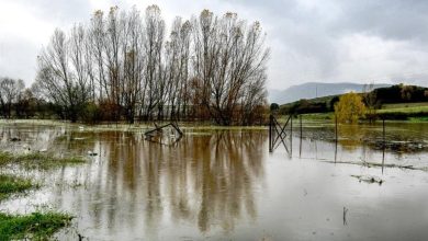 Στο έλεος της κακοκαιρίας βρέθηκε ολόκληρη η Ήπειρος αλλά και τα βόρεια νησιά του Ιονίου τις τελευταίες ημέρες.
