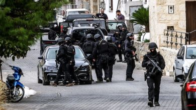 Στο συμπέρασμα πως ο αυτοσχέδιος εκρηκτικός μηχανισμός που τοποθετήθηκε στην οικία μέλους της οικογένειας Φραγκιαδάκη στα Βορίζια