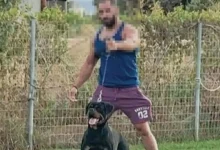 Η εξιχνίαση της δολοφονίας του Γιάννη Λάλα στο Λιβάδι Αράχωβας, το βράδυ της 1ης Νοεμβρίου 2025, αποκάλυψε ένα από τα πιο