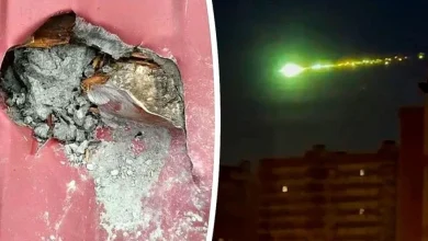 Μία γυναίκα ανακάλυψε στην σκεπή του σπιτιού της στην Οκουλόβκα της Ρωσίας έναν «θησαυρό», ένα κομμάτι μετεωρίτη καρφωμένο ανάμεσα στα κεραμίδια.