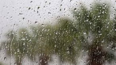 Προειδοποίηση για την κακοκαιρία εξέδωσε η Εθνική Μετεωρολογική Υπηρεσία, σημειώνοντας πως πι βροχές και οι καταιγίδες