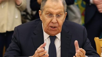 Ο Ρώσος υπουργός Εξωτερικών, Σεργκέι Λαβρόφ, αναφέρθηκε σήμερα στην προσπάθεια για ειρηνική επίλυση της σύγκρουσης στην Ουκρανία.