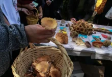 Σε δύο διαφορετικά μεταμοσχευτικά κέντρα της Ιταλίας πρόκειται να μεταφερθούν σήμερα ο 65χρονος άνδρας και η 55χρονη σύζυγός του