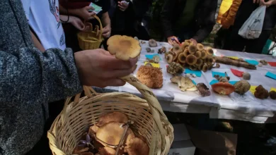 Σε δύο διαφορετικά μεταμοσχευτικά κέντρα της Ιταλίας πρόκειται να μεταφερθούν σήμερα ο 65χρονος άνδρας και η 55χρονη σύζυγός του