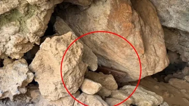 Νέα τροπή παίρνει η υπόθεση του αιματηρού επεισοδίου στα Βορίζια Ηρακλείου, καθώς οι αρχές ταυτοποίησαν ως εμπλεκόμενο τον 43χρονο