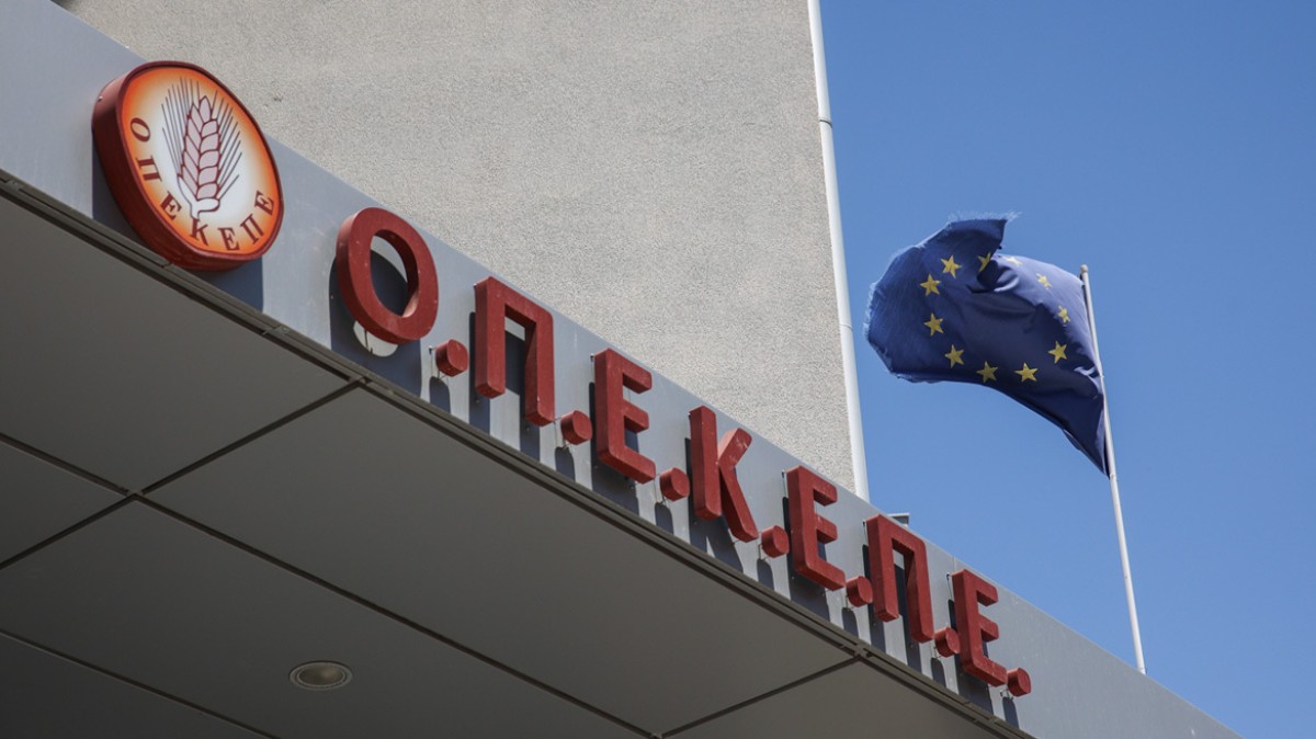 Η Ευρωπαϊκή Επιτροπή επιβεβαίωσε ότι οι ελληνικές αρχές υπέβαλαν το επικαιροποιημένο σχέδιο δράσης για τον ΟΠΕΚΕΠΕ και δεσμεύθηκε