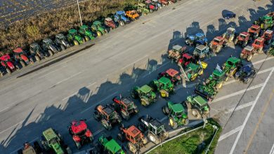 Απίστευτο μπέρδεμα με την καταβολή των αγροτικών επιδοτήσεων, καθώς ενώ ο ΟΠΕΚΕΠΕ προχώρησε σε πληρωμές, ο ΕΛΓΑ προχώρησε