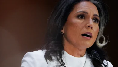 Η Τούλσι Γκάμπαρντ, Διευθύντρια των Εθνικών Πληροφοριών των ΗΠΑ, κατηγόρησε το πρακτορείο Reuters για διάδοση