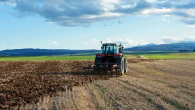 Κύμα πανικού φαίνεται να έχει προκαλέσει το σκάνδαλο του ΟΠΕΚΕΠΕ, καθώς δεκάδες ιδιοκτήτες αγροτεμαχίων σπεύδουν να «εξαφανίσουν»