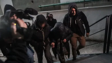 Σύμφωνα με τα στοιχεία που περιλαμβάνονται στο διαβιβαστικό της ΕΛΑΣ, πίσω από τις παράνομες επιδοτήσεις του ΟΠΕΚΕΠΕ κρύβονταν