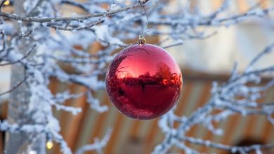 Μπορεί μέχρι στιγμής ο καιρός του χειμώνα να μην συμβάδισε τόσο με την εποχή, παρά τις έντονες βροχοπτώσεις την παραμονή