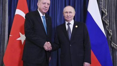 Ο  Ρετζπέπ Ταγίπ Ερντογάν επιδιώκει η Τουρκία να αναλάβει πρωταγωνιστικό ρόλο στις διπλωματικές προσπάθειες για