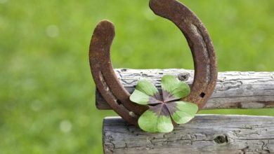 Το 2026 είναι χρονιά αναγέννησης, απελευθέρωσης και νέων ευκαιριών. Οι μεγάλες πλανητικές μετακινήσεις — ο Δίας στον Λέοντα