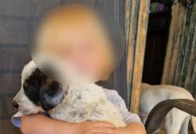 «Πριν από λίγες εβδομάδες γιορτάσαμε τα δεύτερα γενέθλιά του…», λέει η μητέρα του Λίο, αναπολώντας τον γιο της με δάκρυα στα μάτια.