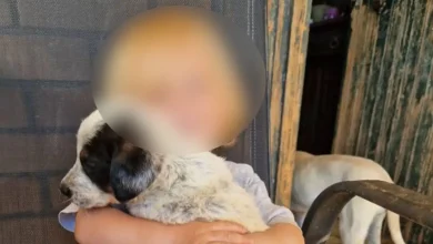 «Πριν από λίγες εβδομάδες γιορτάσαμε τα δεύτερα γενέθλιά του…», λέει η μητέρα του Λίο, αναπολώντας τον γιο της με δάκρυα στα μάτια.