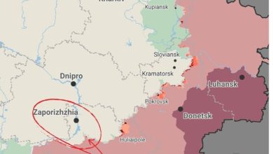 Στα ουκρανικά μέσα ενημέρωσης, όπως το Euromaidan Press Kiev, έχει αρχίσει να αναπτύσσεται έντονος προβληματισμός σχετικά