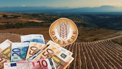 Στην εξεταστική επιτροπή της Βουλής για το σκάνδαλο του ΟΠΕΚΕΠΕ φέρνει το ΠΑΣΟΚ το θέμα της παραίτησης των Ορκωτών Ελεγκτών