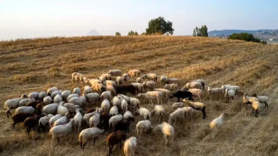 «Τον έβλεπα προβληματισμένο καθημερινά, αλλά δεν φανταζόμουν πόσο βαριά τον είχε επηρεάσει. Αν το είχα καταλάβει, θα τον είχα