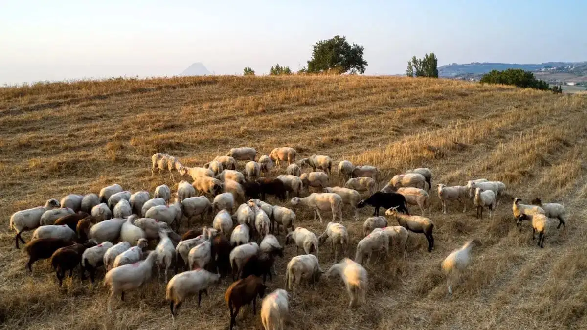 «Τον έβλεπα προβληματισμένο καθημερινά, αλλά δεν φανταζόμουν πόσο βαριά τον είχε επηρεάσει. Αν το είχα καταλάβει, θα τον είχα