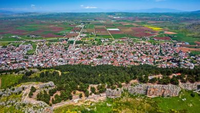 Η Υποδιεύθυνση Δίωξης και Εξιχνίασης Εγκλημάτων Λάρισας, σε συνεργασία με τις τοπικές αστυνομικές αρχές, κατάφερε να εξαρθρώσει εγκληματική