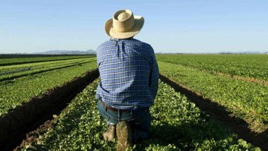 Στο δρόμο βρέθηκε ένας 53χρονος αγρότης από χωριό του Δήμου Ζαγοράς – Μουρεσίου στη Μαγνησία, μετά την έξωση από το σπίτι του