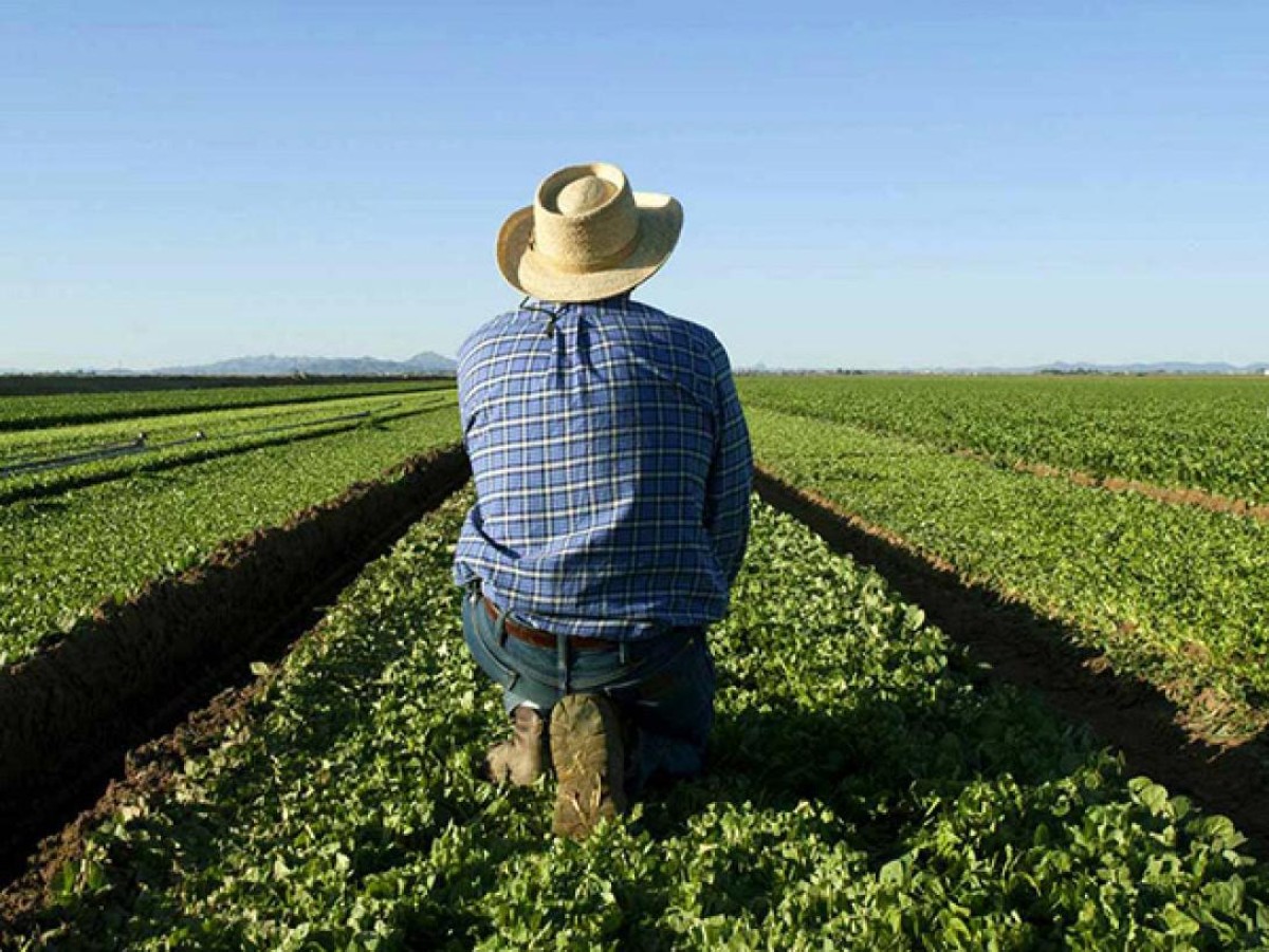 Στο δρόμο βρέθηκε ένας 53χρονος αγρότης από χωριό του Δήμου Ζαγοράς – Μουρεσίου στη Μαγνησία, μετά την έξωση από το σπίτι του