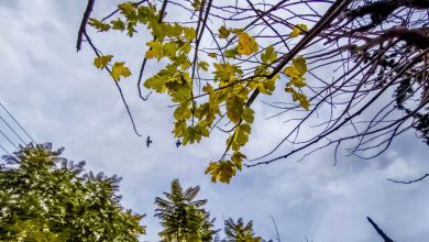 Προ των πυλών βρίσκεται ένα νέο κύμα κακοκαιρίας, που αναμένεται να πλήξει όλη τη χώρα, θυμίζοντας ξανά... χειμώνα, παρόλο που βρισκόμαστε