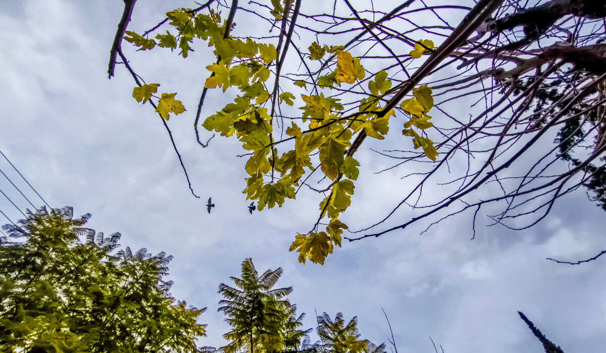 Προ των πυλών βρίσκεται ένα νέο κύμα κακοκαιρίας, που αναμένεται να πλήξει όλη τη χώρα, θυμίζοντας ξανά... χειμώνα, παρόλο που βρισκόμαστε