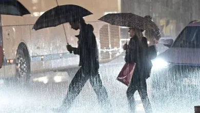 Επικαιροποιήθηκε σήμερα νωρίς το μεσημέρι (31.03.2026) το έκτακτο δελτίο επικίνδυνων καιρικών φαινομένων της ΕΜΥ καθώς η κακοκαιρία Erminio