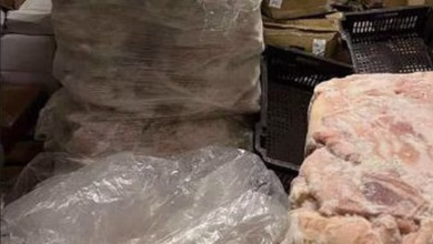 Σε κατάσχεση 3,5 τόνων ακατάλληλων κρεάτων προχώρησε η Περιφέρεια Αττικής, ύστερα από ελέγχους κλιμακίου κτηνιάτρων της