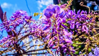 Αλλαγή στο σκηνικό του καιρού αναμένεται τις επόμενες ημέρες, με τη σταδιακή επικράτηση αστάθειας και φθινοπωρινών συνθηκών