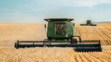 Η κρίση στα Στενά του Ορμούζ δεν αποτελεί μόνο μια ενεργειακή απειλή, αλλά εξελίσσεται σε μια παγκόσμια κρίση επισιτιστικής ασφάλειας