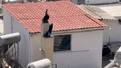 Συγκλονιστικές λεπτομέρειες για τα 6 παιδιά που ζούσαν σε 27 τ.μ. στο Περιστέρι. Οι άθλιες συνθήκες υγιεινής και ο ισχυρισμός της οικογένειας για επικείμενη μετακόμιση.