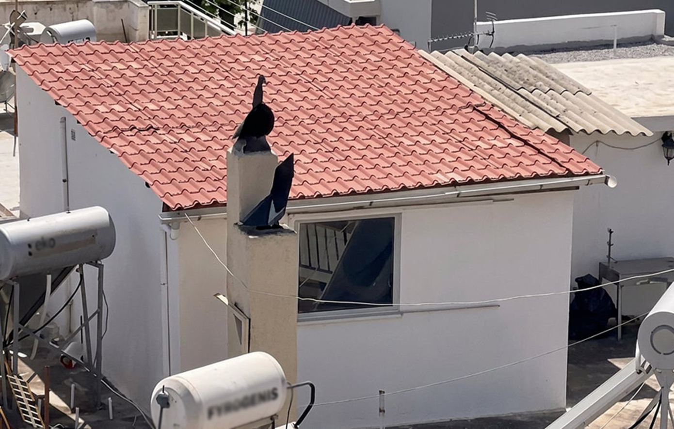 Συγκλονιστικές λεπτομέρειες για τα 6 παιδιά που ζούσαν σε 27 τ.μ. στο Περιστέρι. Οι άθλιες συνθήκες υγιεινής και ο ισχυρισμός της οικογένειας για επικείμενη μετακόμιση.