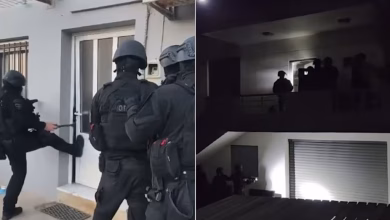 Σοκ στην Κρήτη από τη δράση γιγαντιαίου κυκλώματος με 77 εμπλεκόμενους. Στον εισαγγελέα οι 16 για ναρκωτικά, όπλα και μεγάλες απάτες με τις επιδοτήσεις του ΟΠΕΚΕΠΕ.