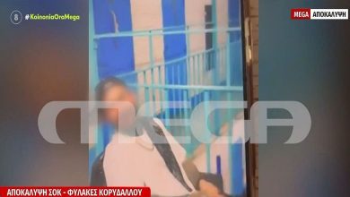 Ένα συγκλονιστικό βίντεο-ντοκουμέντο που ήρθε στο φως της δημοσιότητας μέσα από την ενημερωτική εκπομπή «Κοινωνία Ώρα Mega» ξεσκεπάζει ανάγλυφα την απόλυτη ασυδοσία, τη θεσμική αποδιοργάνωση και τα εγκληματικά κενά ασφαλείας που επικρατούν στις δικαστικές φυλακές Κορυδαλλού.