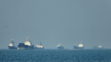 Το Ιράν ανοίγει «πράσινο δρόμο» για τα κινεζικά πλοία στα Στενά του Ορμούζ. Δείτε τι σημαίνει η απόφαση αυτή για το παγκόσμιο εμπόριο και τη γεωπολιτική σκακιέρα.
