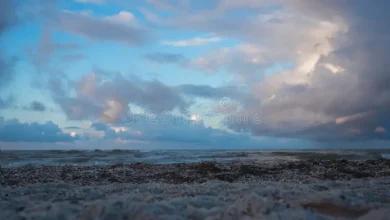 Σημαντική ανατροπή του καιρού το Σαββατοκύριακο. Δείτε γιατί γίνονται δύσκολες οι εξορμήσεις στις παραλίες, πού θα σημειωθούν βροχές και πτώση θερμοκρασίας.