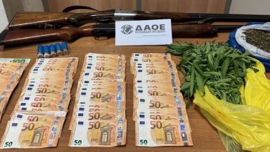 Έξι χρόνια το κύκλωμα που λυμαίνονταν τις επιδοτήσεις του ΟΠΕΚΕΠΕ έκανε ψευδείς δηλώσεις για «φανταστικά» αγροτεμάχια και ζώα.