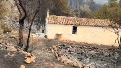 Ένα εντυπωσιακό στιγμιότυπο κατέγραψε οδηγός μηχανής στις καμένες εκτάσεις της Δυτικής Αττικής, τις οποίες άφησε πίσω της η πύρινη λαίλαπα.