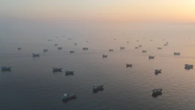 Νεκρός είναι ο πρώτος μηχανικός του ελληνόκτητου φορτηγού πλοίου M/V MINOAN DIGNITY, με αριθμό IMO 9294484 έπειτα από πλήγμα που δέχθηκε χθες βράδυ το πλοίο στην περιοχή των Στενών του Ορμούζ.