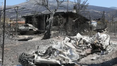 Οι περιοχές της ευρύτερης περιοχής του όρους Πατέρα βρέθηκαν στο επίκεντρο της καταστροφής, με τις φλόγες να κατακαίνε χιλιάδες στρέμματα δάσους και να αφήνουν πίσω τους ένα τοπίο γεμάτο στάχτη και καμένα δέντρα.
