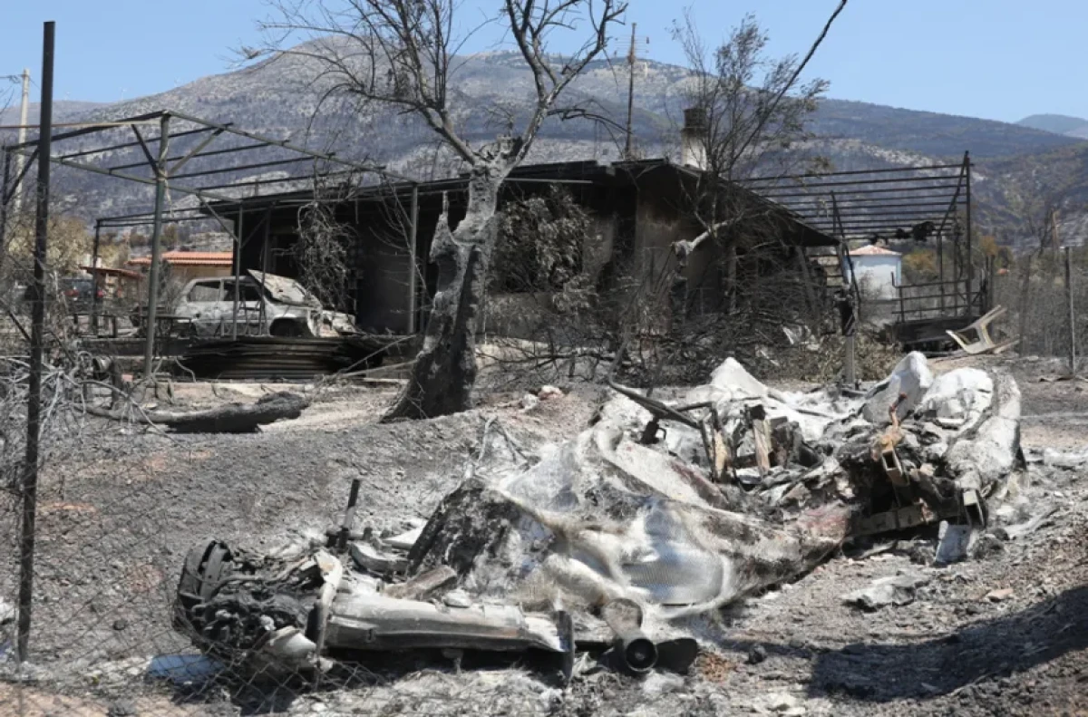 Οι περιοχές της ευρύτερης περιοχής του όρους Πατέρα βρέθηκαν στο επίκεντρο της καταστροφής, με τις φλόγες να κατακαίνε χιλιάδες στρέμματα δάσους και να αφήνουν πίσω τους ένα τοπίο γεμάτο στάχτη και καμένα δέντρα.