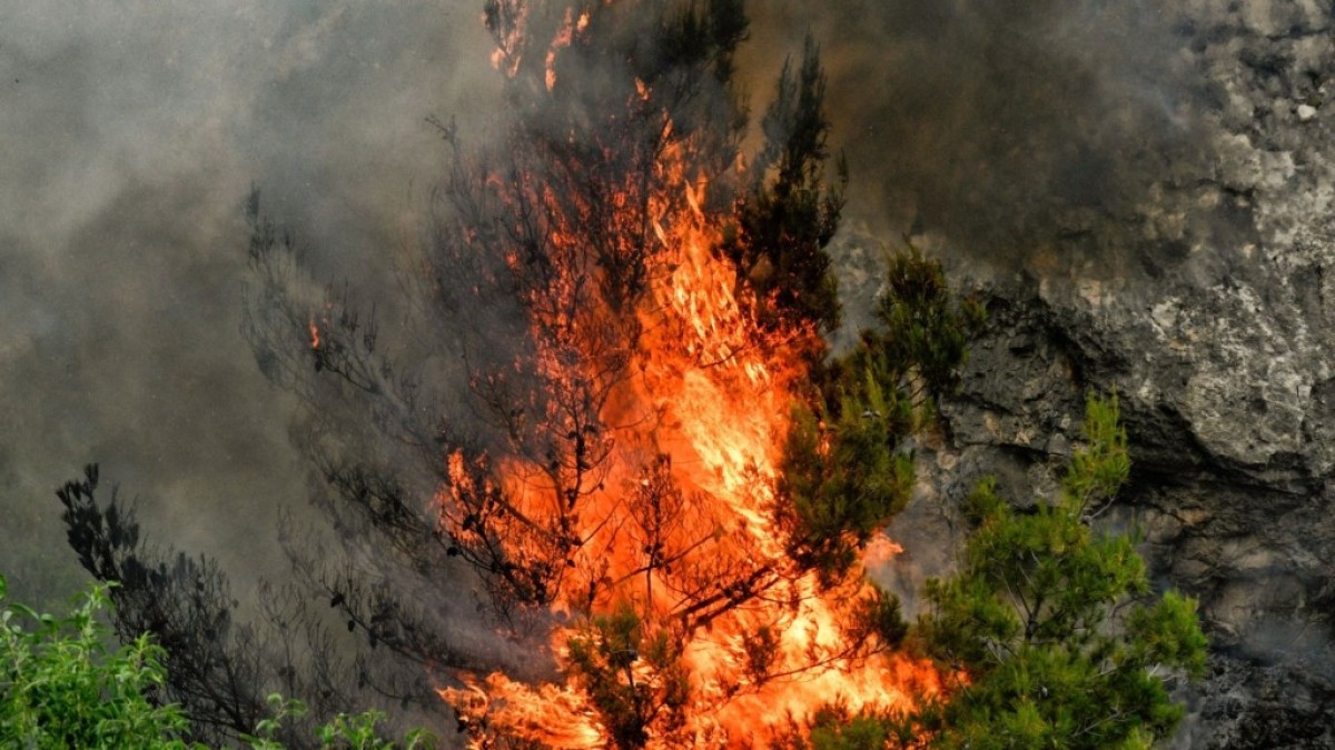 Μέσα σε 10 χρόνια έχει χαθεί στις φλόγες το 42% των δασών της Αττικής και το 4% των εκτάσεων αυτών έχει καεί φέτος, από την έναρξη της αντιπυρικής περιόδου 2026, σύμφωνα με το Meteo.