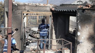 Ανησυχητικά είναι τα πρώτα επίσημα στοιχεία που προκύπτουν από τις αυτοψίες στο Πόρτο Γερμενό, καθώς επιβεβαιώνουν σε μεγάλο βαθμό τις αρχικές εκτιμήσεις για την έκταση των ζημιών που άφησε πίσω της η πρόσφατη πυρκαγιά στη Δυτική Αττική.