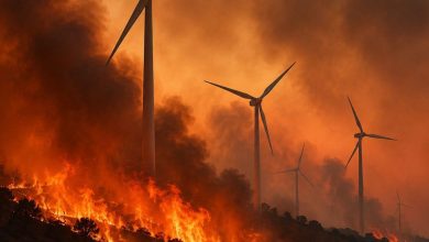 Ελεύθερος αφέθηκε μετά την εμφάνισή του ενώπιον του στον Ανακριτή ο επιχειρηματίας που κατηγορείται μαζί με ακόμα δύο πρόσωπα για τη μεγάλη φωτιά στη Βοιωτία.